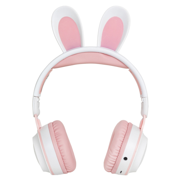 Наушники AIWA AW023